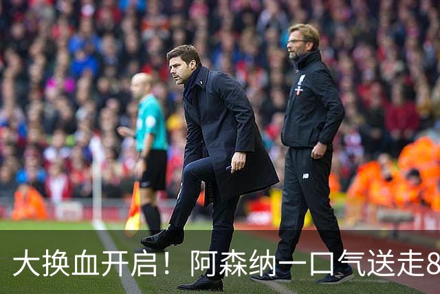 大换血开启！阿森纳一口气送走8名青训队员，重磅买断夺冠功臣